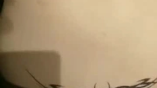我的塔卡巴