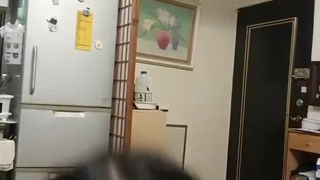 日韩欧美精品一中文字幕大长腿兔女郎，妩媚性感小伙子忍住射里面了【简 介有约炮渠道）