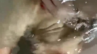 FC2PPV-3160953 ８ＫＶＲ動画特典付き、モデル、色白シルキースキン、web広告、企業カタログ、ヘアショーのモデル、ＳＥＸ３年ぶり、経験人数２人、人生初中出し、完全初撮影『個人撮影』個撮オリジナル３０１人目
